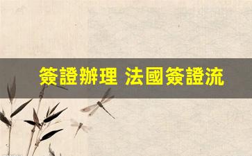 詳解法國簽證辦理攻略，流程圖解及辦理步驟全解析